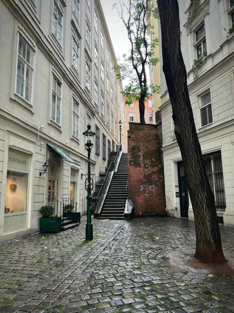 Rue pavée avec des escaliers